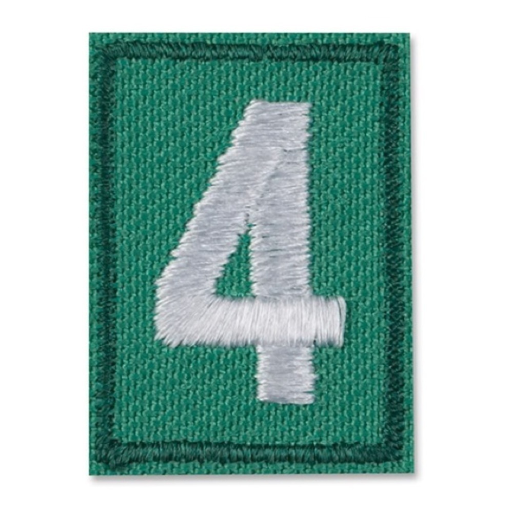 Girl Scouts Troop Number - 4